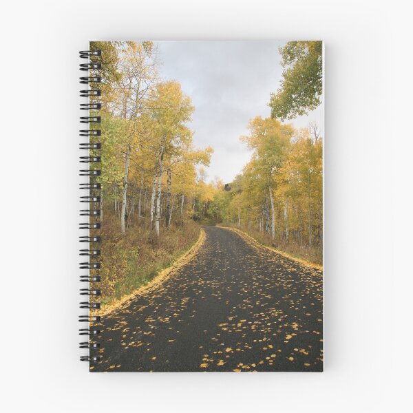 Item preview, Mount Timpanogos Alpine Loop designed and sold by Judson Joyce.