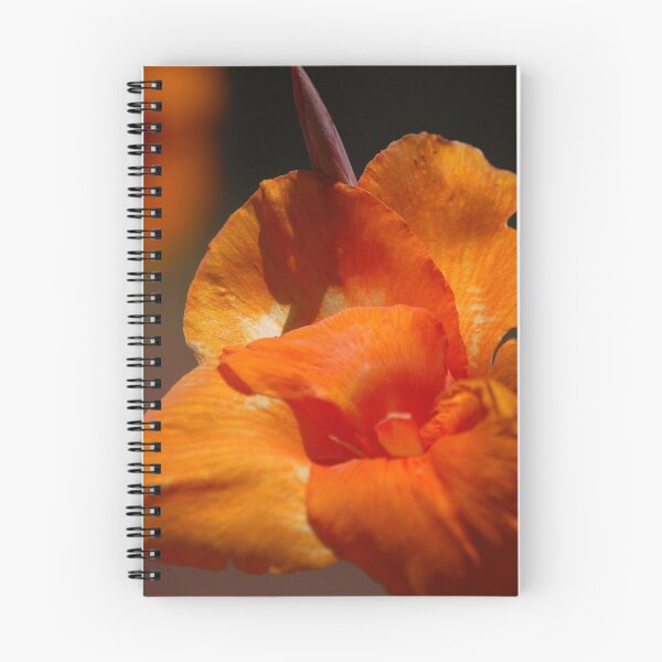 Item preview, Canna designed and sold by Anne Smyth.