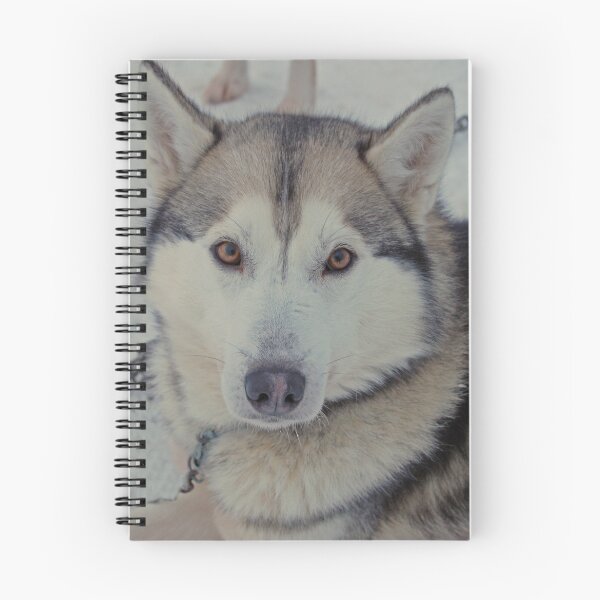 Item preview, Husky love designed and sold by Mandy Fell.