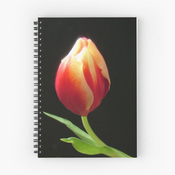 Item preview, Tulip designed and sold by mikeloughlin.