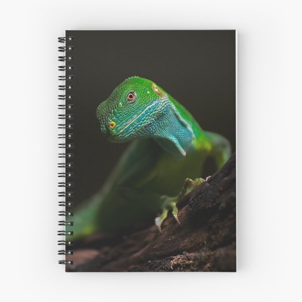 Artikelvorschau, Iguana entworfen und verkauft von Precision.
