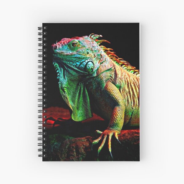 Iguana From The Deep Spiral Notebook