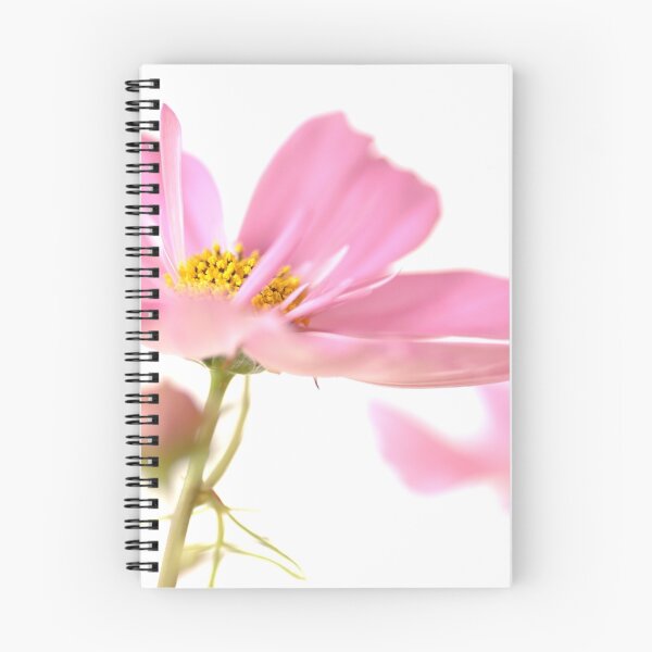 Item preview, Cosmos designed and sold by Lorraine Deroon.