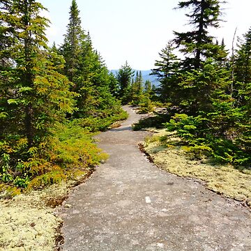 Artwork thumbnail, trail by HarvOsorrow