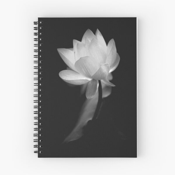 Aperçu de l'œuvre Lotus #62 créée et vendue par Janos Sison.