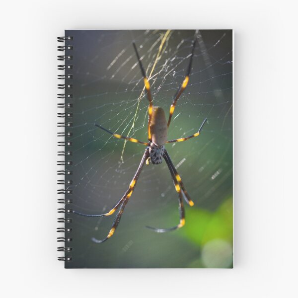 Item preview, Golden Orb Weaver designed and sold by Mark Snelson.