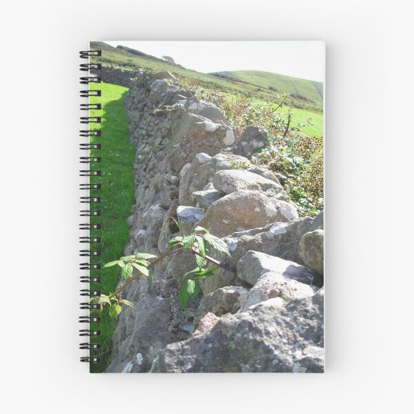 Item preview, Stone Fence, Ireland designed and sold by cathyklima.