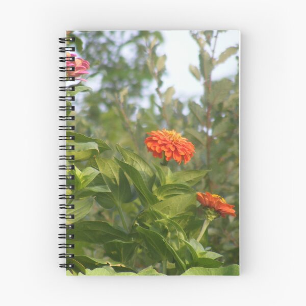 Item preview, orange Flower designed and sold by Jessjones1682.