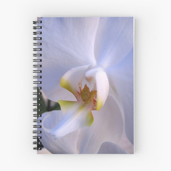 Item preview, Lone Orchid designed and sold by Debbie Vine.