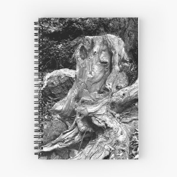 Item preview, Rainforest relic designed and sold by Argentum.