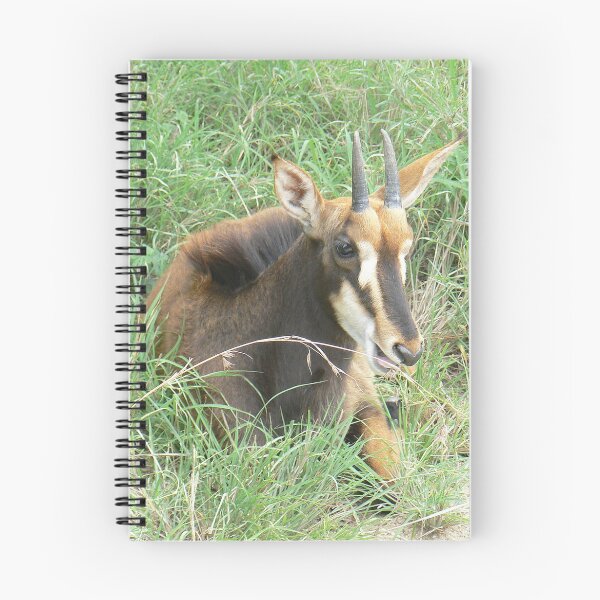 Item preview, A Young Sable Antelope designed and sold by AARDVARK.