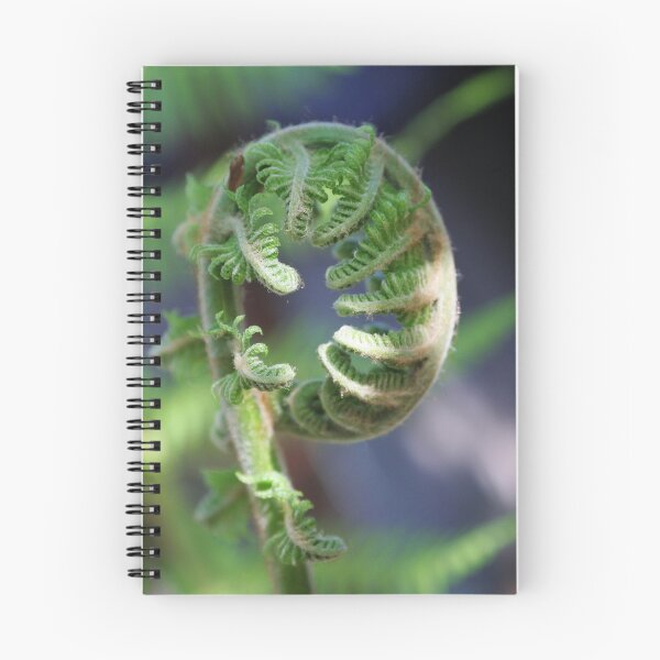 Item preview, fern unfurling designed and sold by picketty.