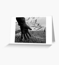 Roaming Free Greeting Card