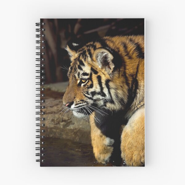 Item preview, Interested designed and sold by Cheri  McEachin.