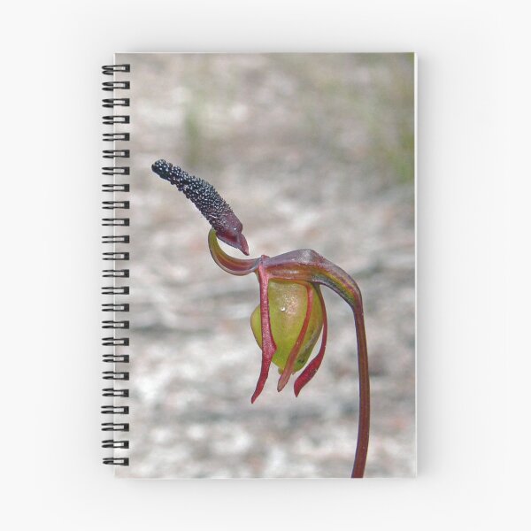 Artikelvorschau, duck orchid entworfen und verkauft von shirleyscott.