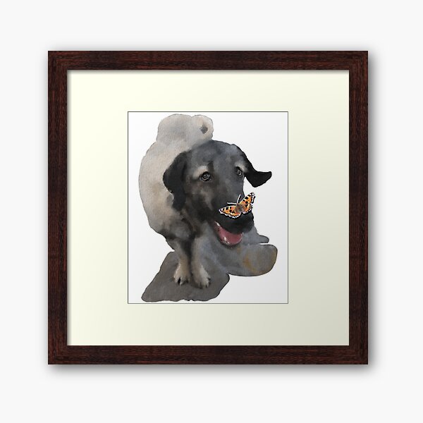 Artikel-Vorschau von Kangal Welpe namens Zorro, designt und verkauft von Deborah Regan.