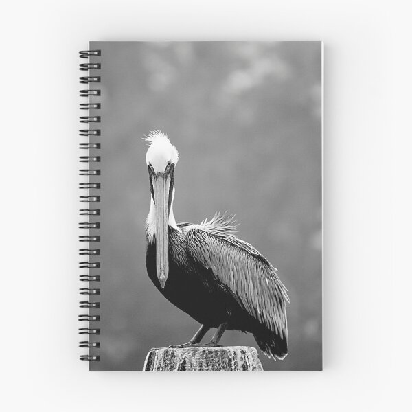 Item preview, Gray Day Pelican designed and sold by Jonicool.