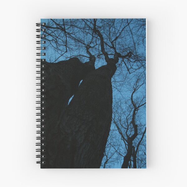 Item preview.
