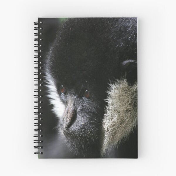 Aperçu de l'œuvre Animal Portraiture créée et vendue par Gavan  Mitchell.