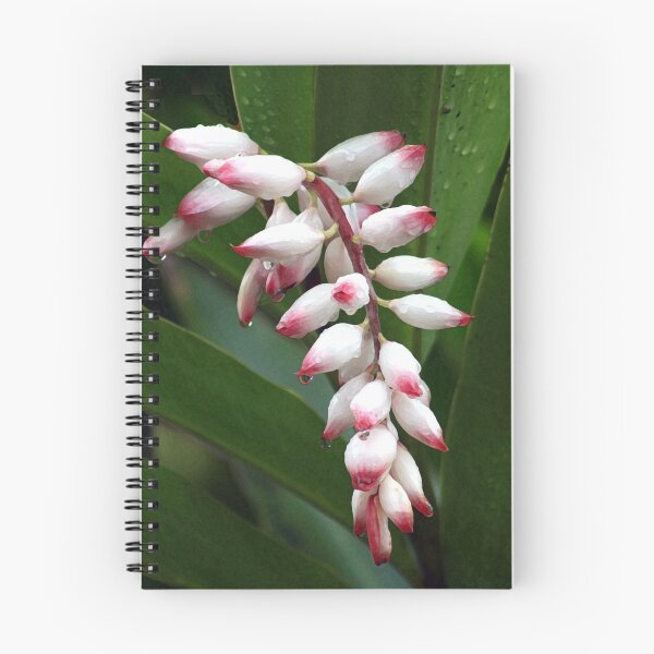 Aperçu de l'œuvre Ginger Flower créée et vendue par Suzy  Baines.