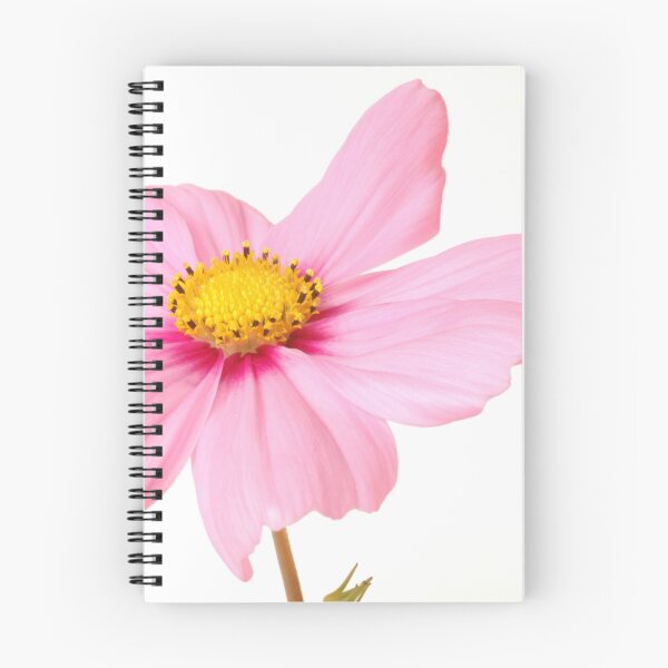 Item preview, Pretty in Pink designed and sold by Lorraine Deroon.