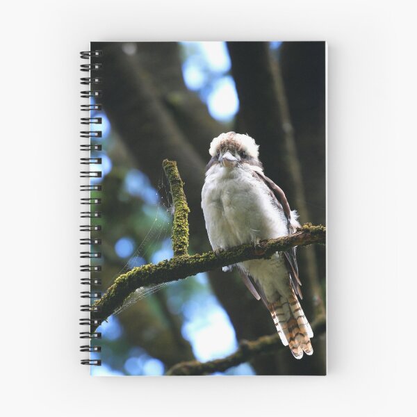 Item preview, Kooka designed and sold by Lindsay Knowles.