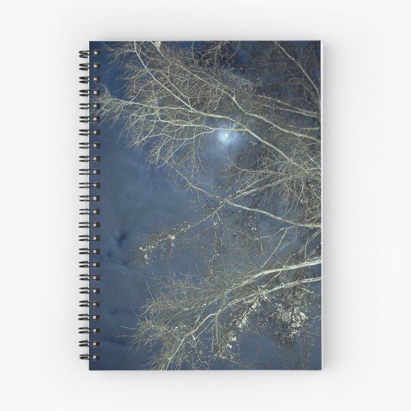 Item preview, Moonlight Night designed and sold by pange.