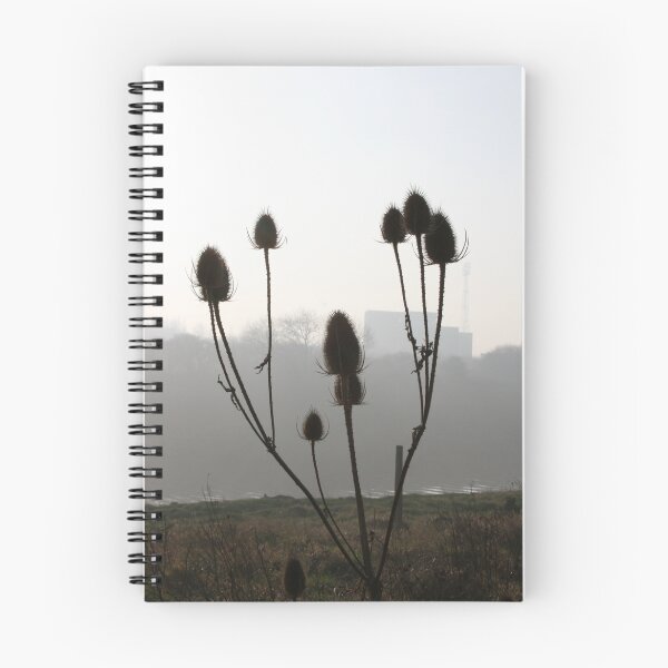 Item preview, A Teaser designed and sold by Edward Gunn.
