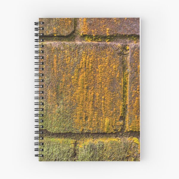 Item preview, Mossy wall designed and sold by androzeledon.
