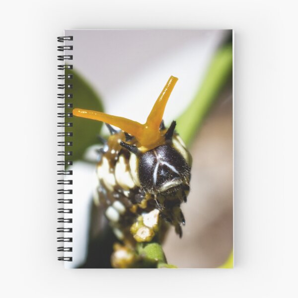 Item preview, Insect King designed and sold by Ben Grant.