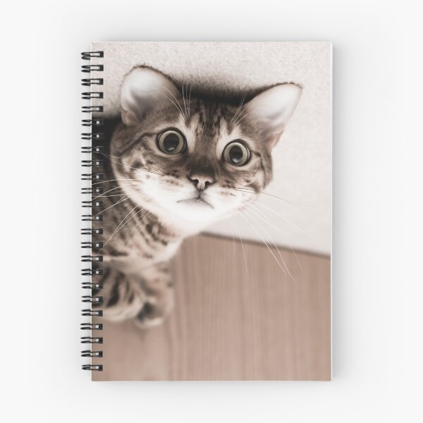 Item preview, My ears are stuck to the ceiling again... designed and sold by Flibble.