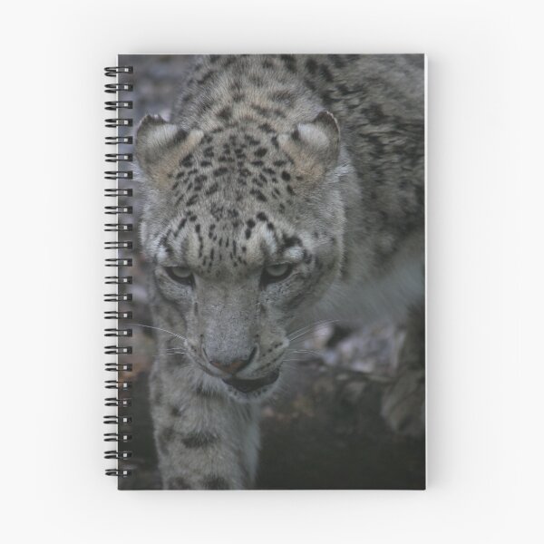 Item preview, Prowling Leopard designed and sold by Love Through The Lens.