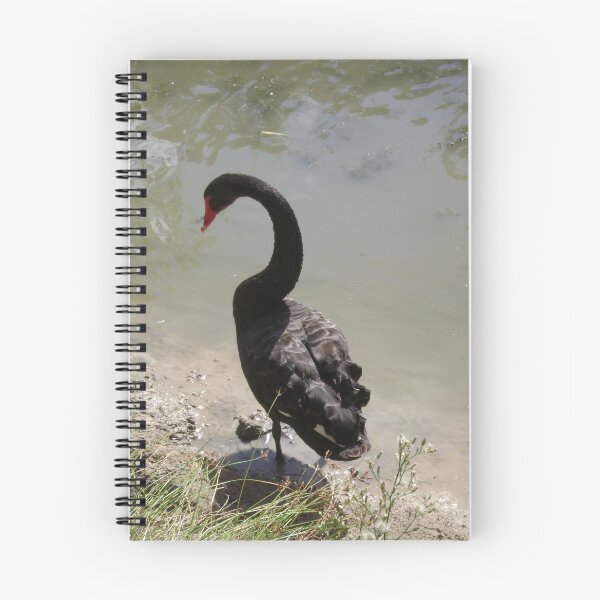 Artikelvorschau, Swan entworfen und verkauft von JayW.