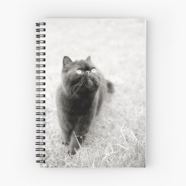 Artikelvorschau, 'Charlie' by Joanne entworfen und verkauft von Anthony Begovic.