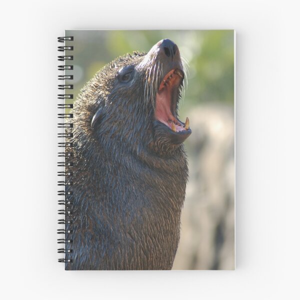 Item preview, Sea Lion Yawn designed and sold by ApeArt.