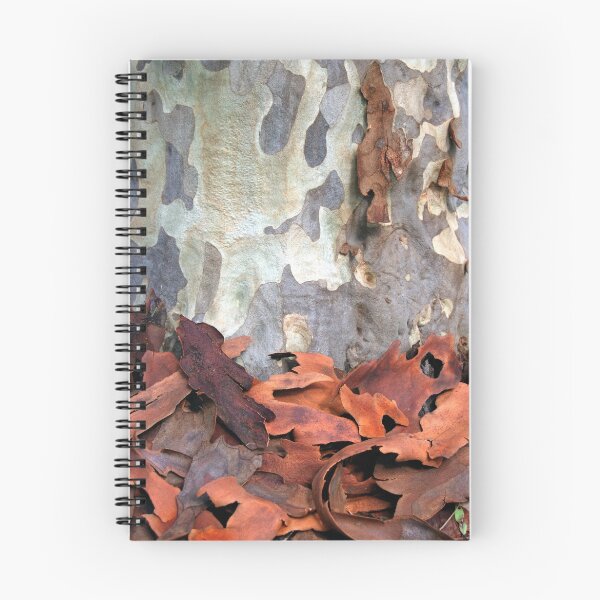 Item preview, Árbol de goma manchado - Australia designed and sold by Mette  Spange.