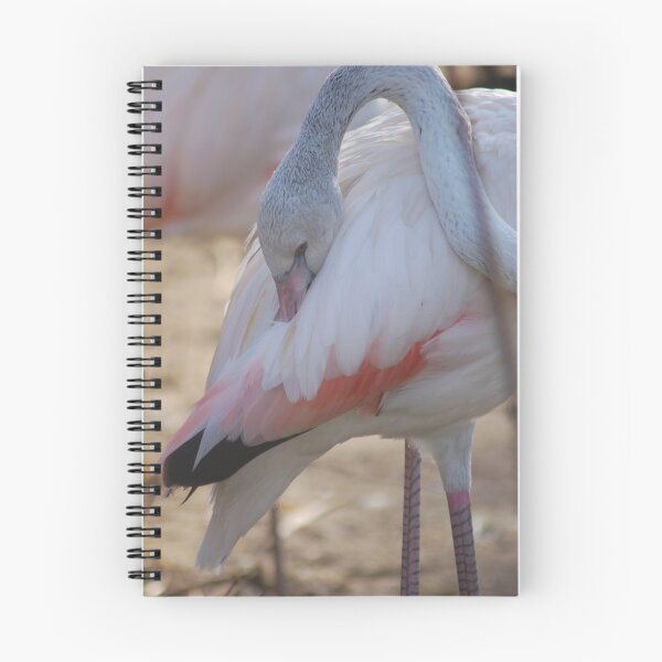Item preview, Flamingo Preen designed and sold by ApeArt.