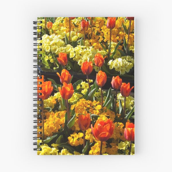 Item preview, Tulips at Edinburgh Road, Linlithgow designed and sold by burghb.