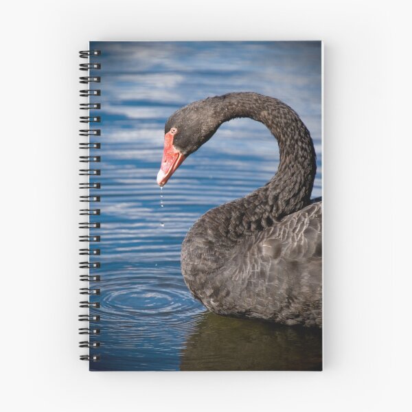 Item preview, Black Swan designed and sold by palmerphoto.