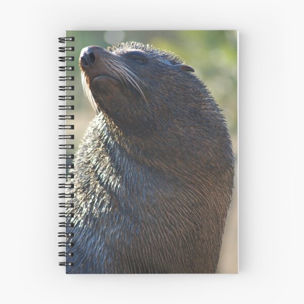 Item preview, Sea Lion Sunbathe designed and sold by ApeArt.