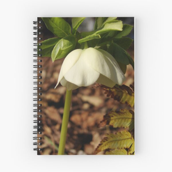 Item preview, late winter flower designed and sold by RDRAKEPERKINSON.