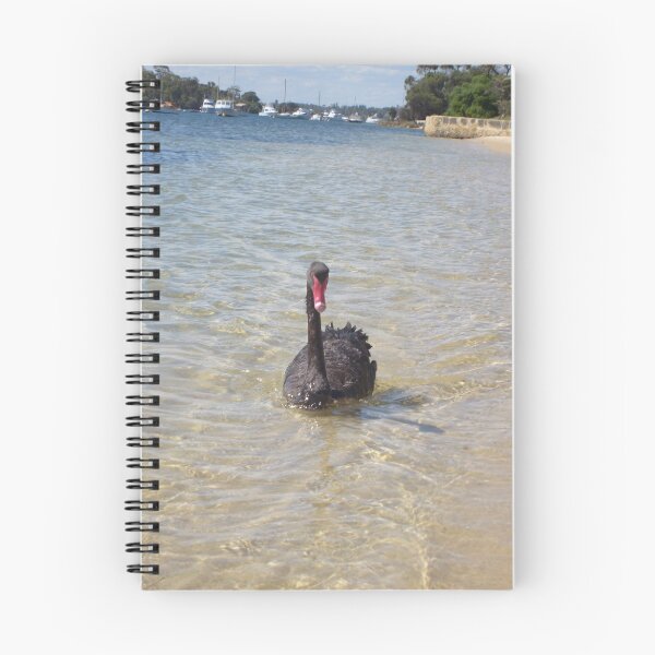 Item preview, Black Swan designed and sold by Daniel Rayfield.