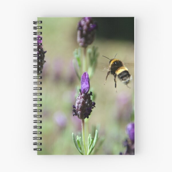 Item preview, Flight of the bumblebee designed and sold by Kathleen Hill.