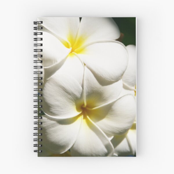 Item preview, Frangipani designed and sold by Kathleen Hill.