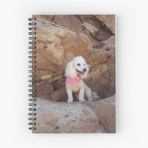 Item preview, Perched Poodle designed and sold by gogsmith.