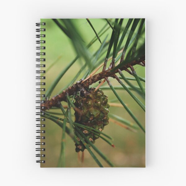 Item preview, Coniferous designed and sold by pange.
