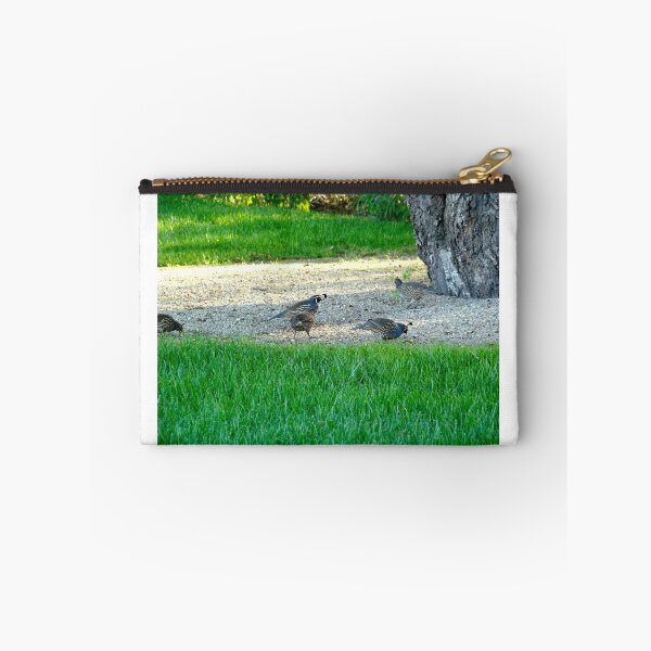 Item preview, California Quail together for their Morning Meal designed and sold by 2CrabbySisters.