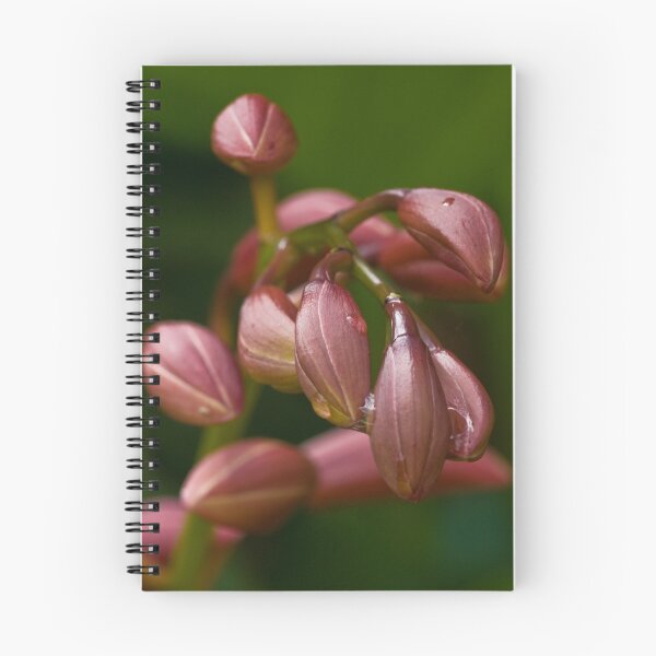 Item preview, Orchids designed and sold by MiImages.