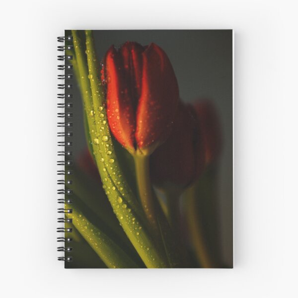 Item preview, SpotLight designed and sold by Els Steutel.