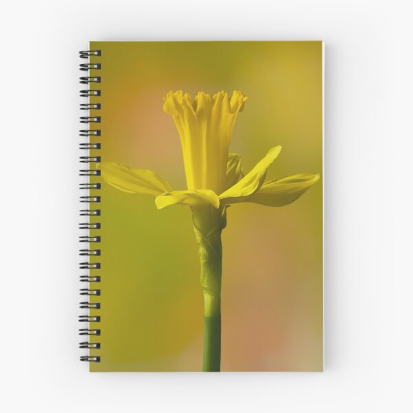 Artikelvorschau, Dreams of Spring entworfen und verkauft von Margaret Barry.